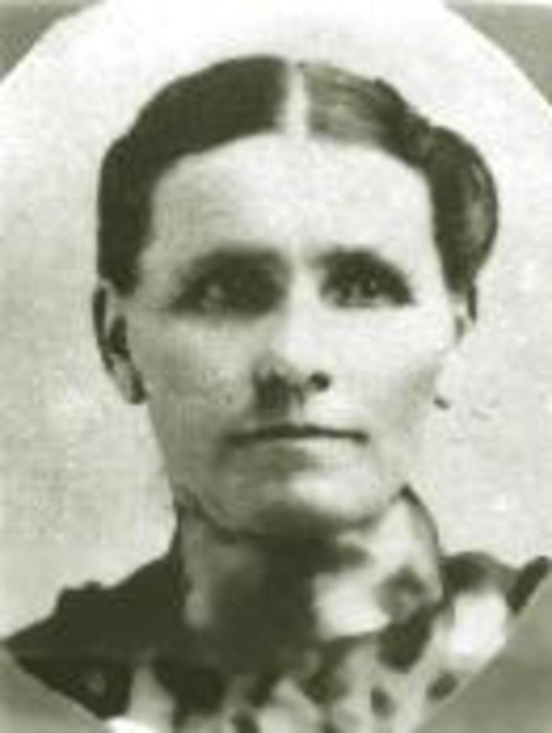 Mette Kirstine Hansen (1851 - 1937) Profile